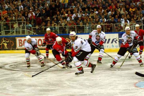 hoki_263.jpg