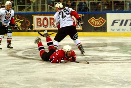 hoki_270.jpg