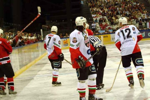 hoki_272.jpg