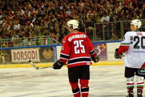 hoki_273.jpg
