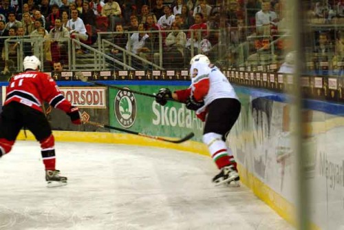 hoki_283.jpg