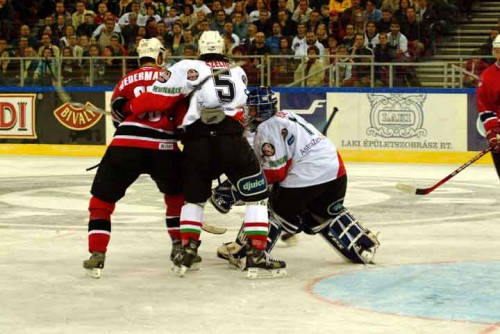 hoki_287.jpg