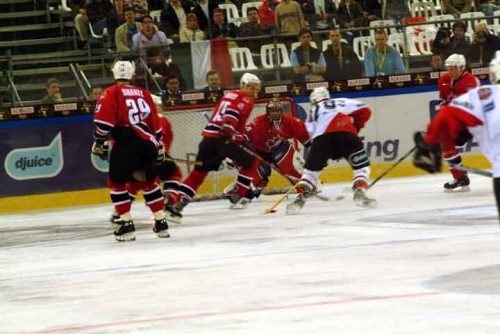 hoki_291.jpg