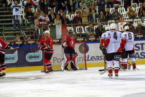 hoki_295.jpg