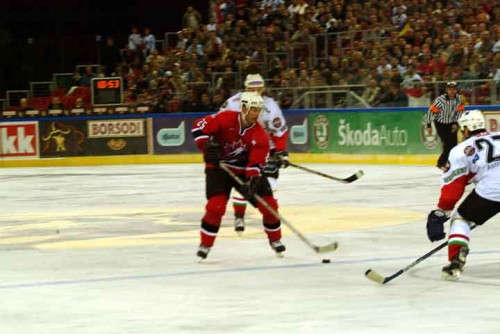 hoki_304.jpg