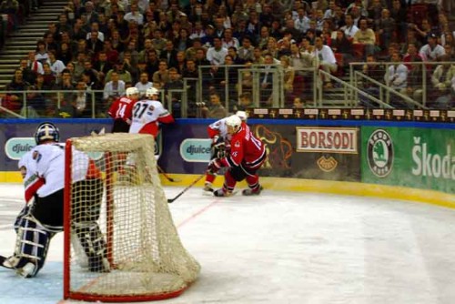 hoki_314.jpg