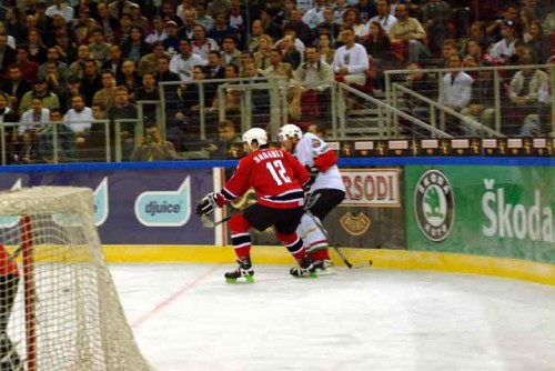 hoki_316.jpg