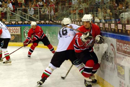 hoki_323.jpg