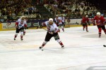 hoki_230.jpg