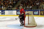 hoki_239.jpg