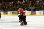 hoki_240.jpg