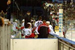 hoki_242.jpg