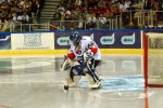 hoki_250.jpg