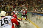 hoki_262.jpg