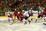 hoki_263.jpg