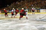 hoki_266.jpg
