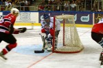 hoki_277.jpg