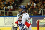 hoki_285.jpg