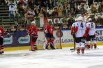 hoki_295.jpg