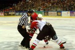 hoki_308.jpg