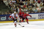 hoki_313.jpg