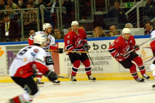 hoki_326.jpg