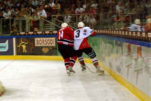 hoki_330.jpg