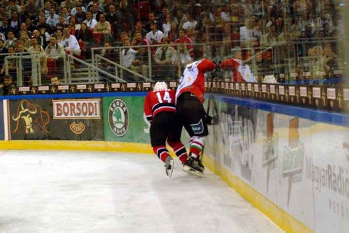hoki_331.jpg