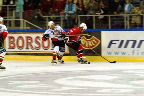 hoki_340.jpg