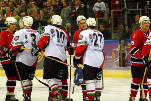hoki_370.jpg