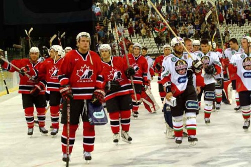 hoki_379.jpg