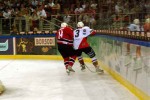 hoki_330.jpg