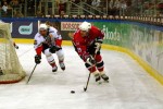 hoki_332.jpg