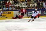 hoki_334.jpg