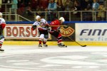 hoki_340.jpg