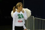 hoki03_1-326.jpg