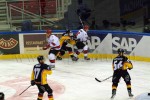 hoki02-045.jpg