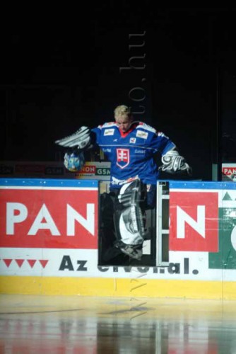 hoki03_1-550.jpg
