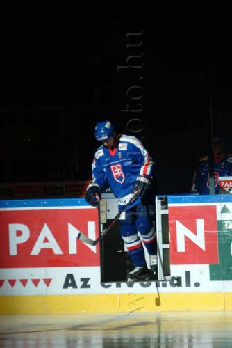 hoki03_1-566.jpg