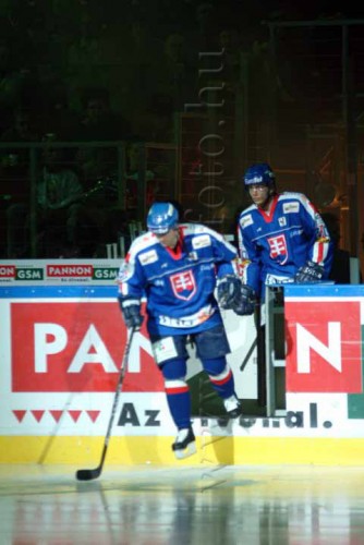 hoki03_1-591.jpg