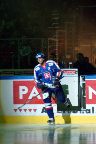 hoki03_1-593.jpg