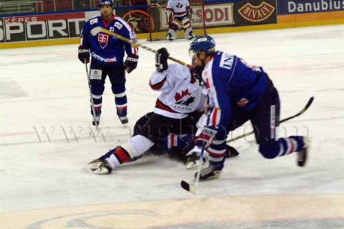 hoki03_2-136.jpg