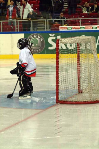 hoki03_2-208.jpg