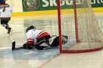 hoki03_2-214.jpg