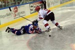hoki03_2-226.jpg