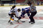 hoki01-130.jpg