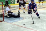 hoki01-134.jpg