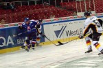 hoki01-154.jpg