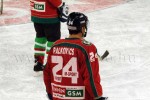 hoki01-195.jpg