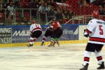 hoki01-275.jpg